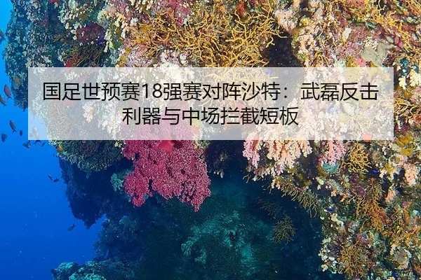 国足世预赛18强赛对阵沙特：武磊反击利器与中场拦截短板